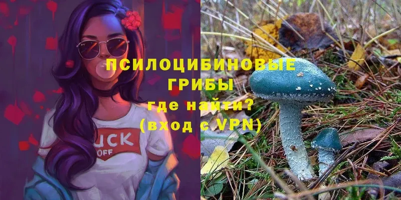 Псилоцибиновые грибы MAGIC MUSHROOMS  Агрыз 